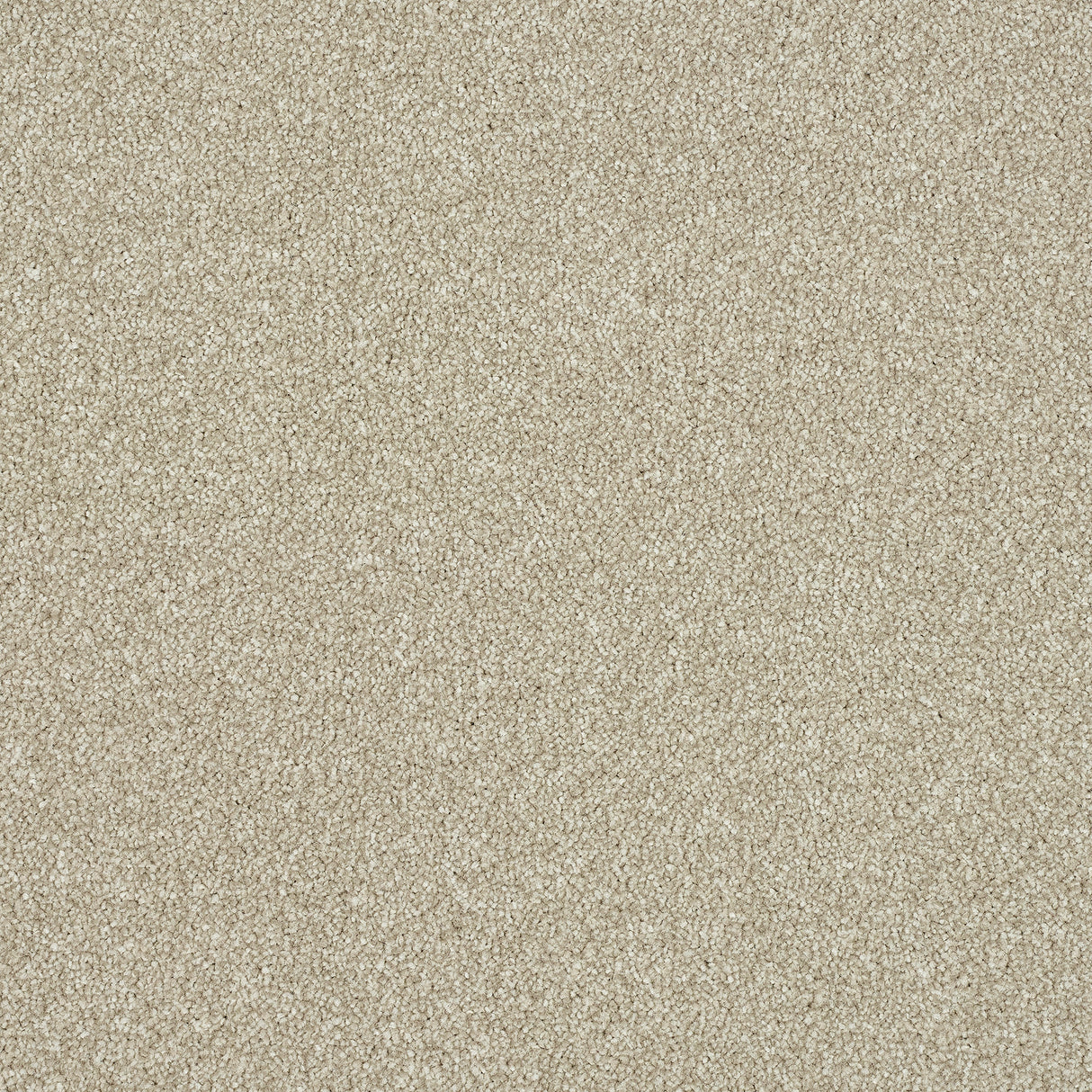 Abingdon Stainfree Ultra - Oat Carpet – by Abingdon Flooring – 1