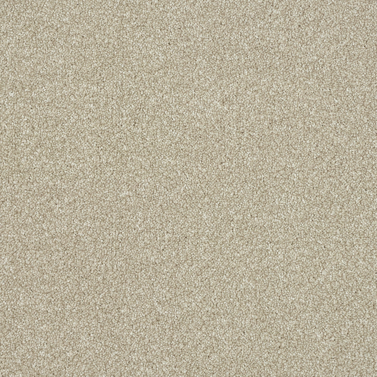 StainFree Ultra Carpet