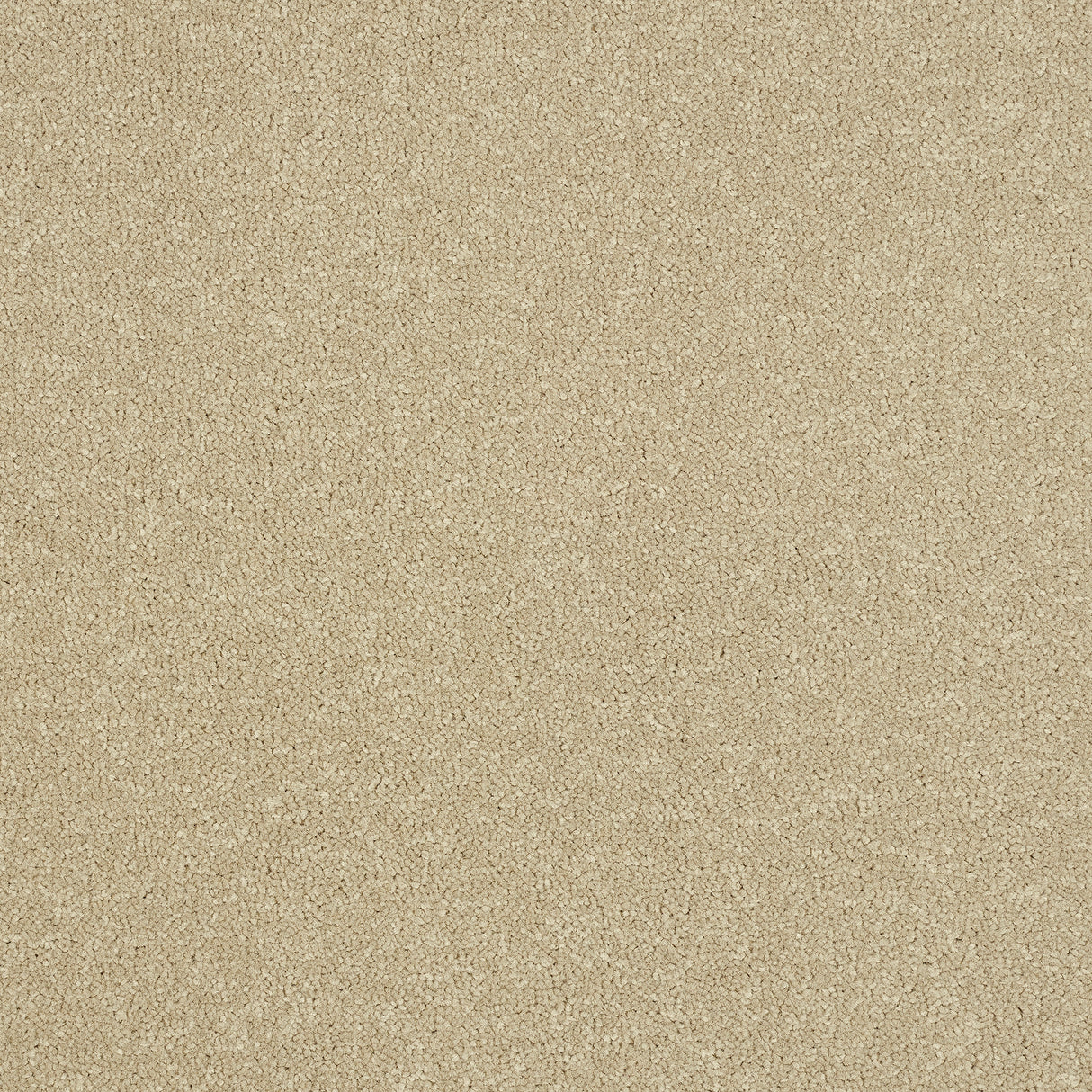 Abingdon Stainfree Ultra - Antique Cream Carpet – by Abingdon Flooring – 1