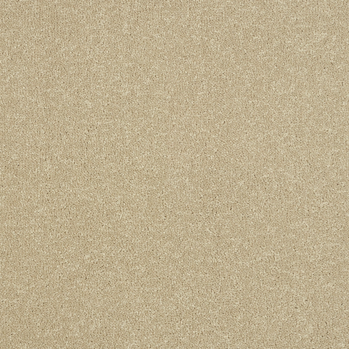 StainFree Ultra Carpet