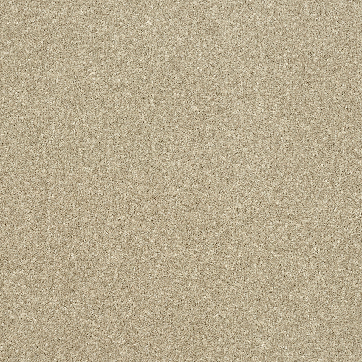 Abingdon Stainfree Ultra - Country Beige Carpet – by Abingdon Flooring – 1