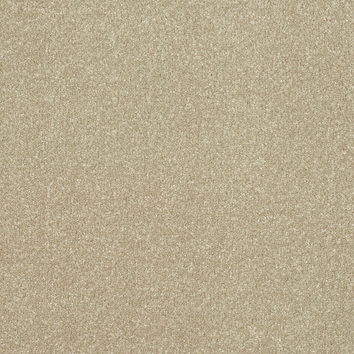 StainFree Ultra Carpet