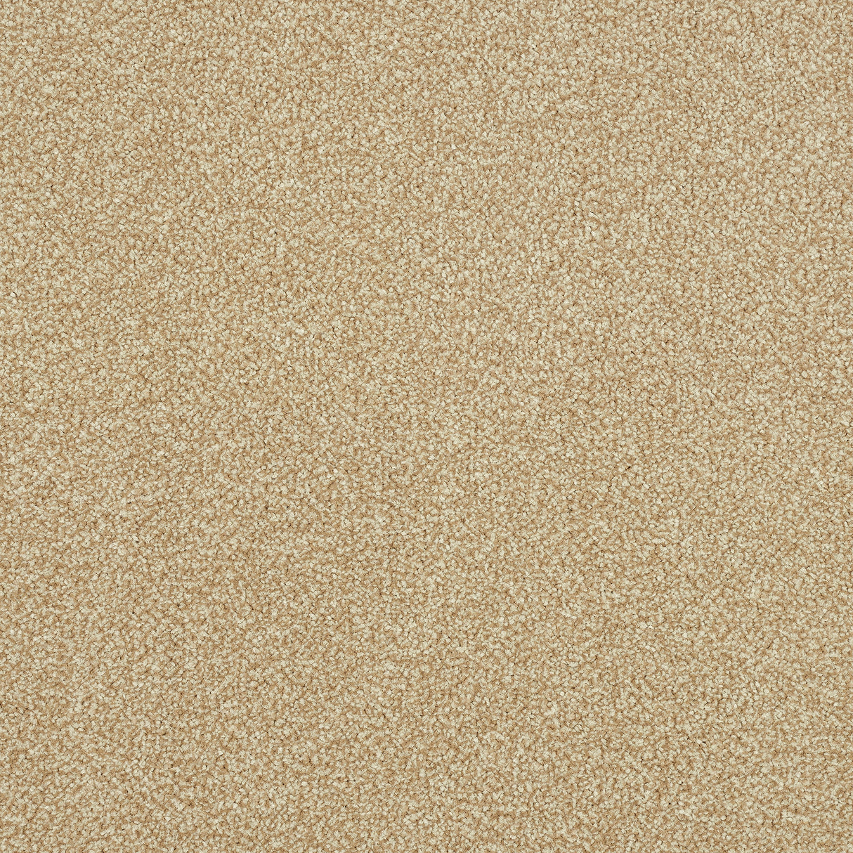 Abingdon Stainfree Ultra - Summer Breeze Carpet – by Abingdon Flooring – 1