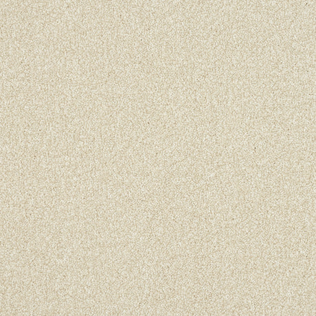 Abingdon Stainfree Ultra - Powder Carpet – by Abingdon Flooring – 1