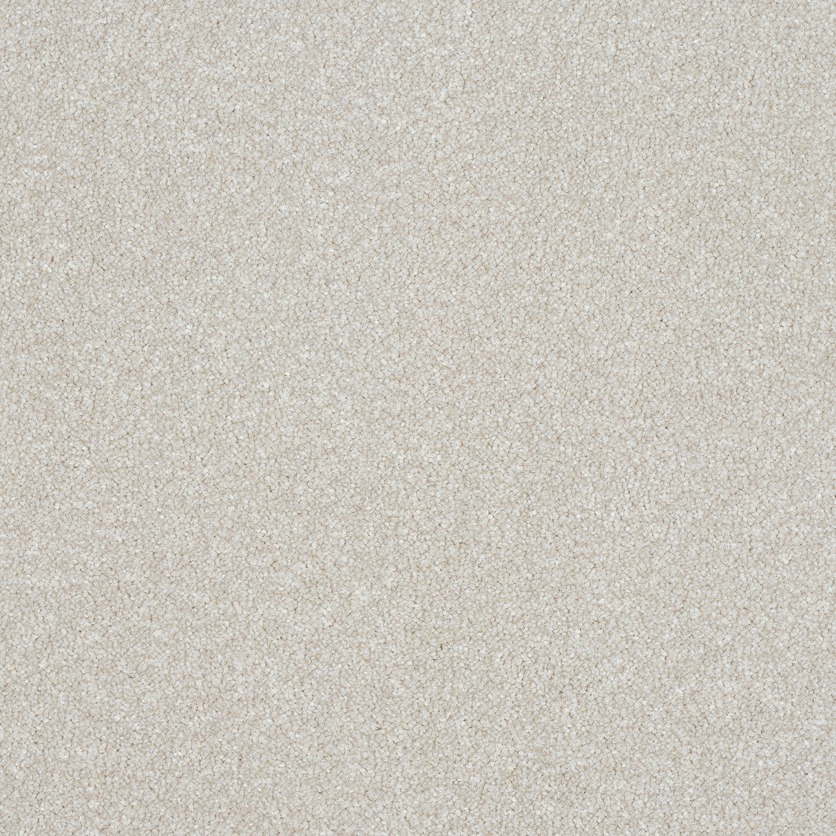 Abingdon Stainfree Ultra - Stone White Carpet – by Abingdon Flooring – 1