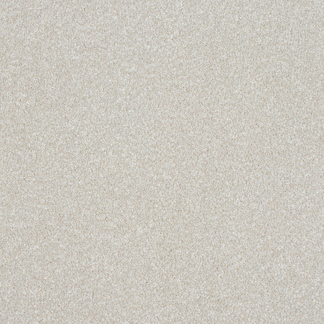 Abingdon Stainfree Ultra - Stone White Carpet – by Abingdon Flooring – 1
