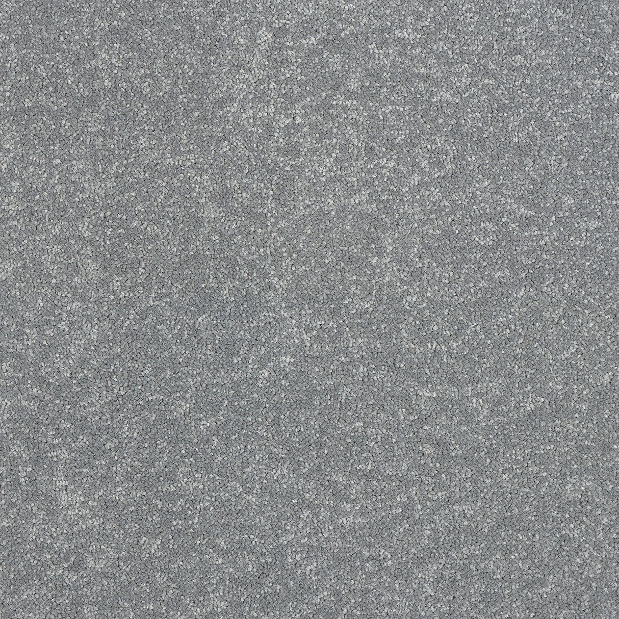 Abingdon Stainfree Ultra - Platinum Carpet – by Abingdon Flooring – 1
