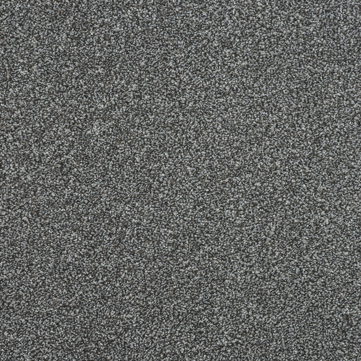 Abingdon Stainfree Ultra - Cloud Burst Carpet – by Abingdon Flooring – 1