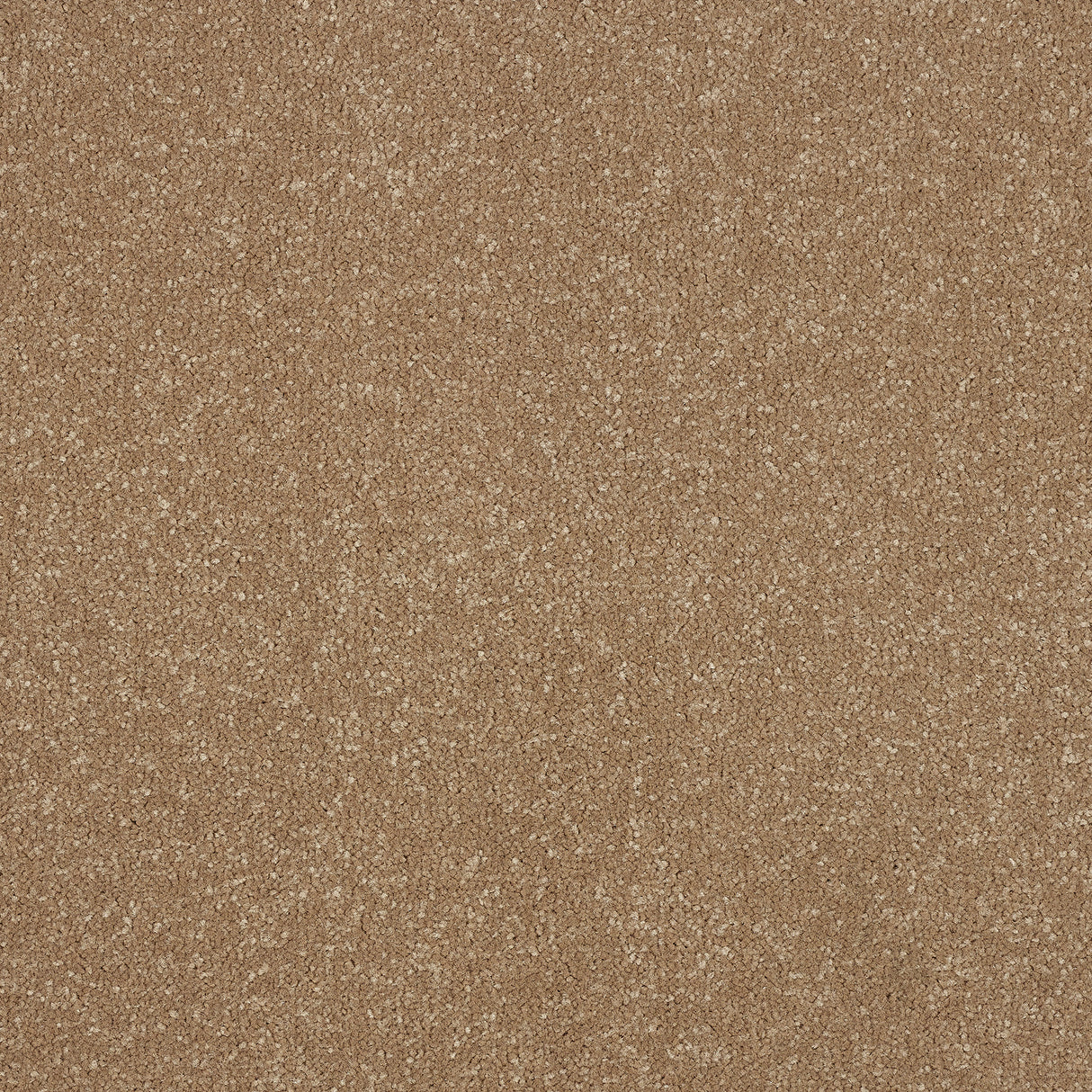 Abingdon Stainfree Ultra - Cocoa Cream Carpet – by Abingdon Flooring – 1