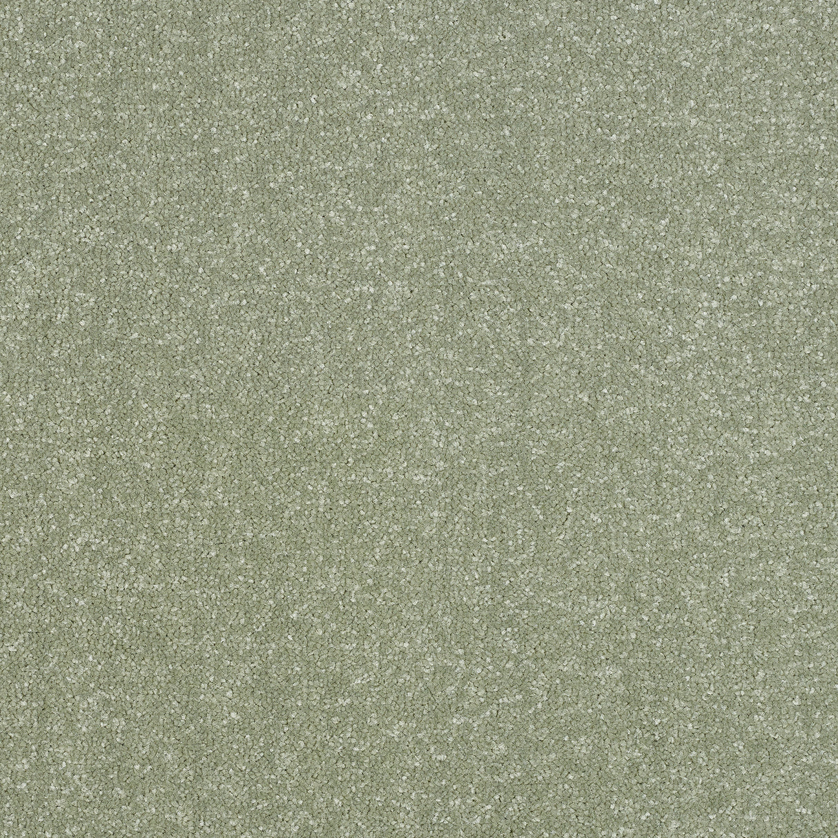 Abingdon Stainfree Ultra - Jade Carpet – by Abingdon Flooring – 1