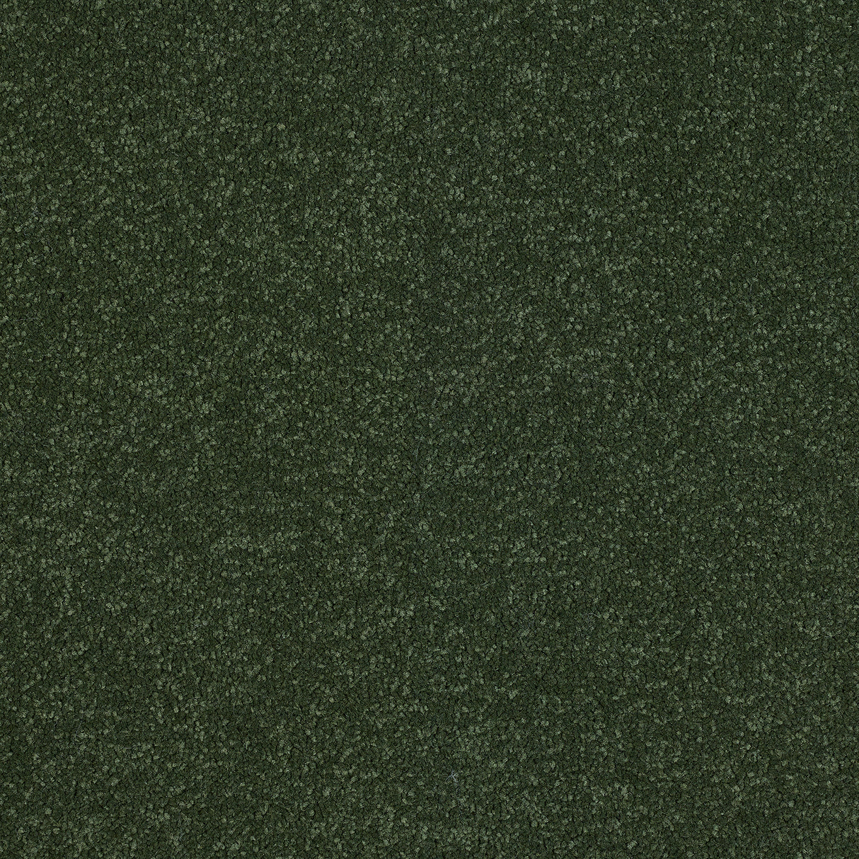 Abingdon Stainfree Ultra - Moss Carpet – by Abingdon Flooring – 1