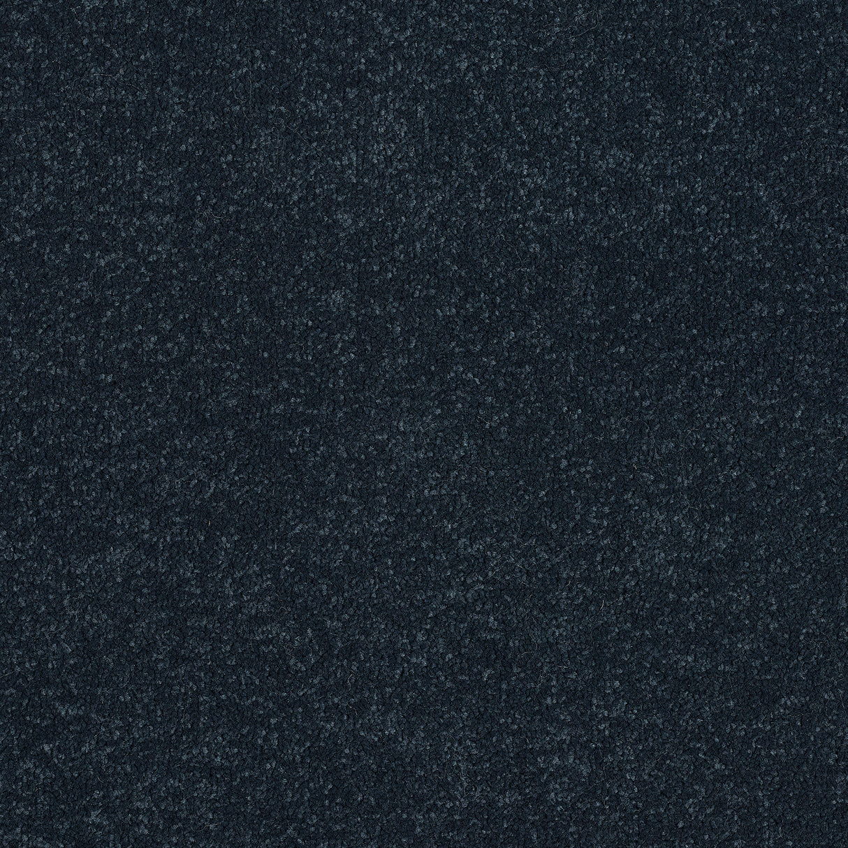 Abingdon Stainfree Ultra - Wedgewood Carpet – by Abingdon Flooring – 1