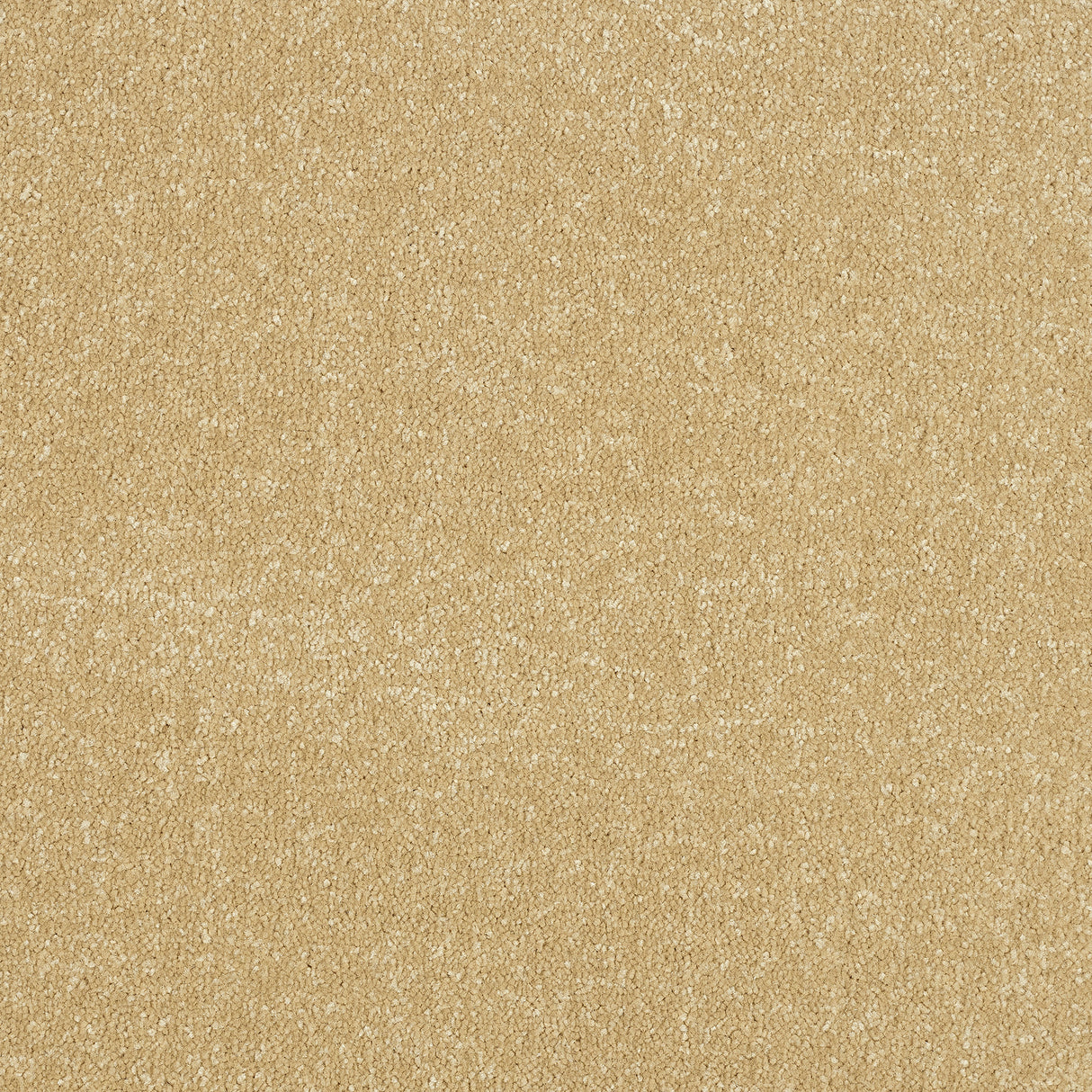 Abingdon Stainfree Ultra - Hampton Carpet – by Abingdon Flooring – 1