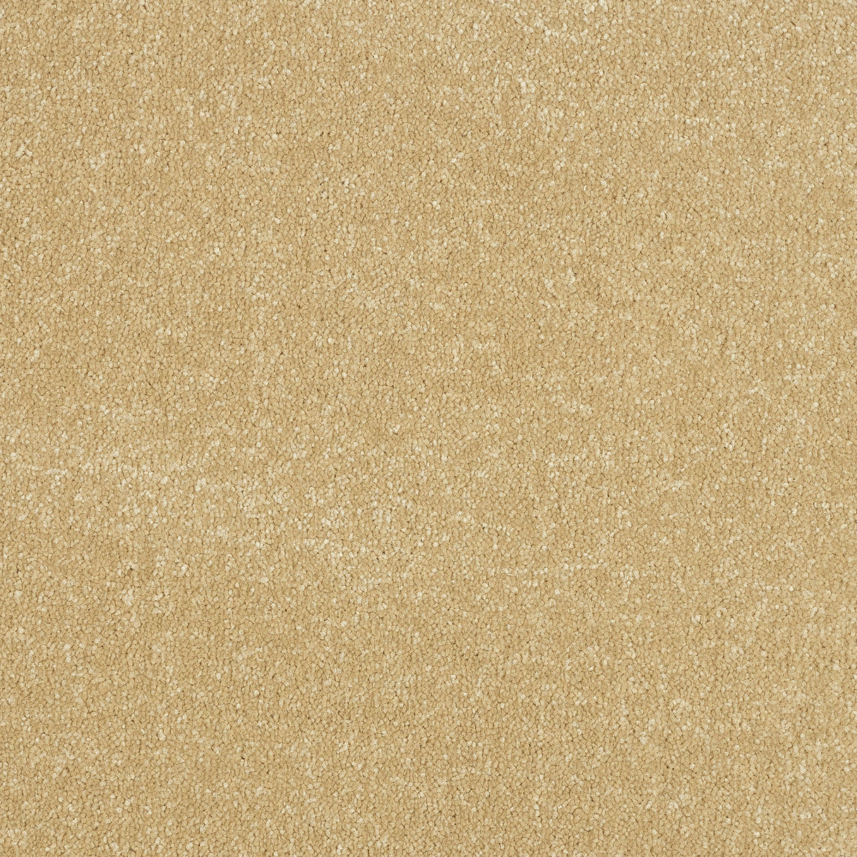 StainFree Ultra Carpet