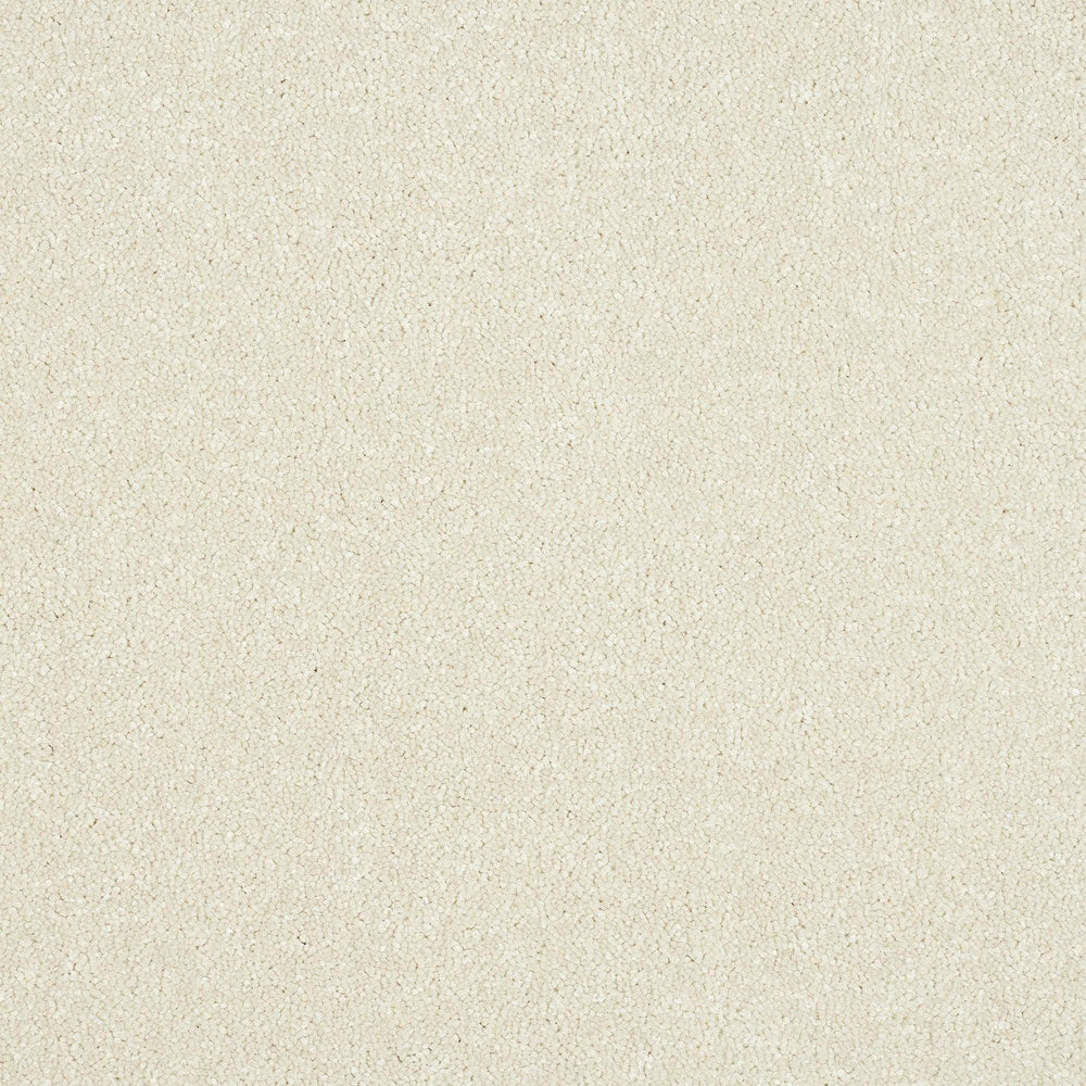 Abingdon Maximus - Pearl Carpet – by Abingdon Flooring – 1