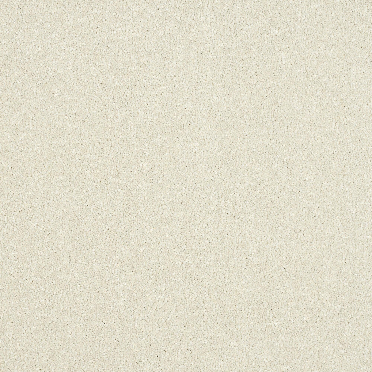 Abingdon Maximus - Pearl Carpet – by Abingdon Flooring – 1