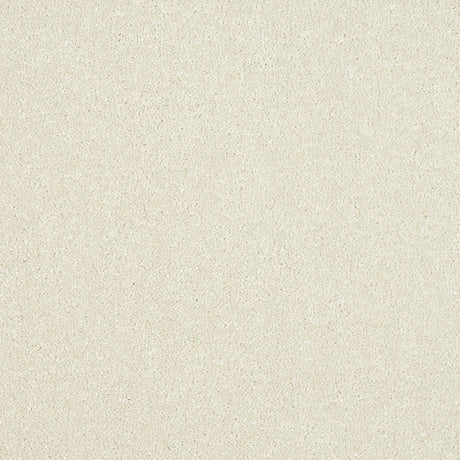 Abingdon Maximus - Pearl Carpet – by Abingdon Flooring – 1