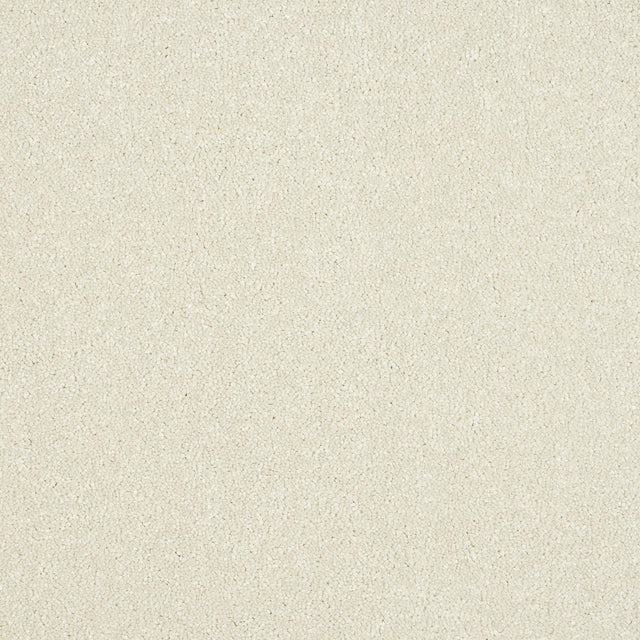 Abingdon Maximus - Pearl Carpet – by Abingdon Flooring – 1