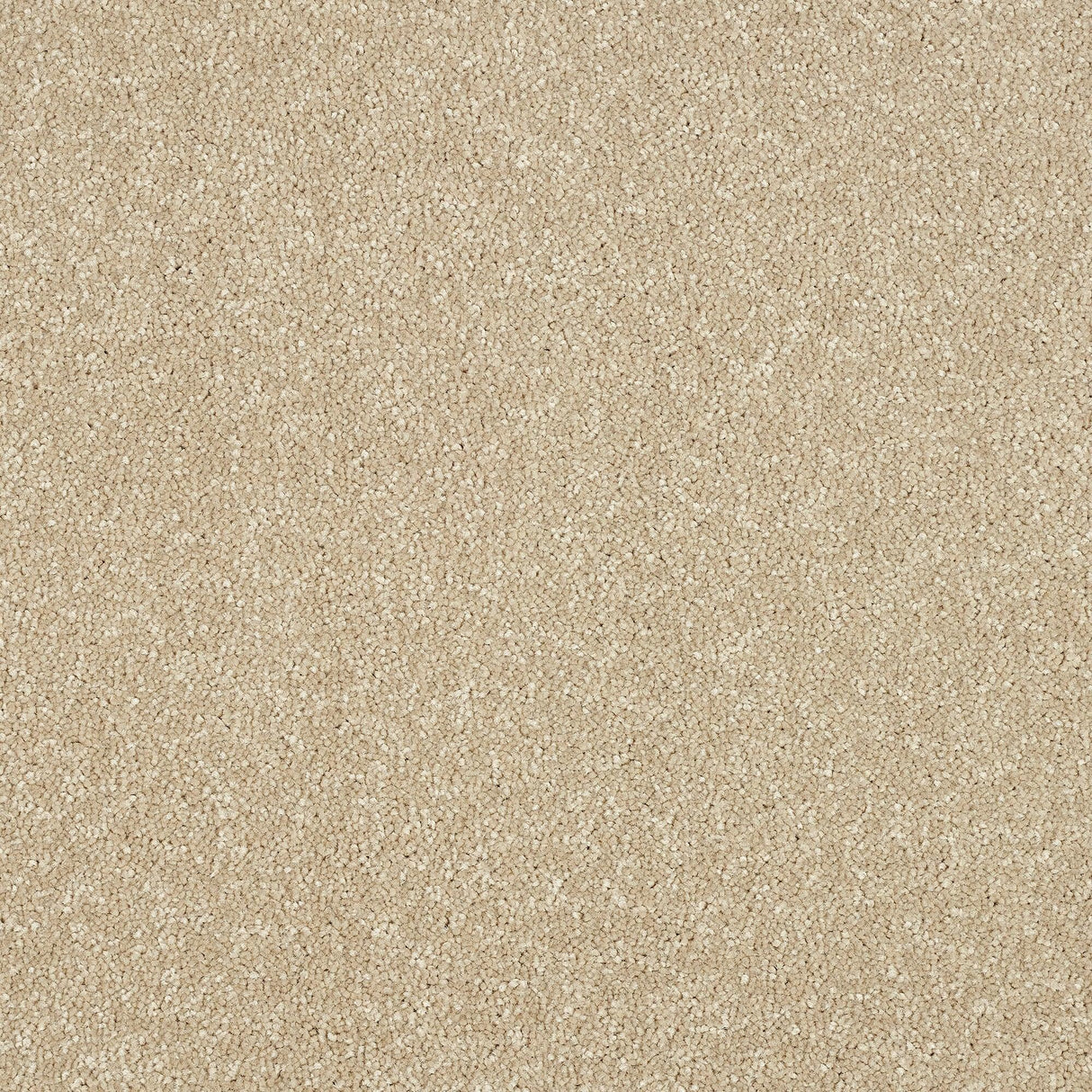 Abingdon Maximus - Twisted Cotton Carpet – by Abingdon Flooring – 1