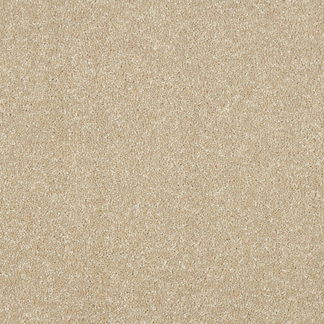 Abingdon Maximus - Twisted Cotton Carpet – by Abingdon Flooring – 1
