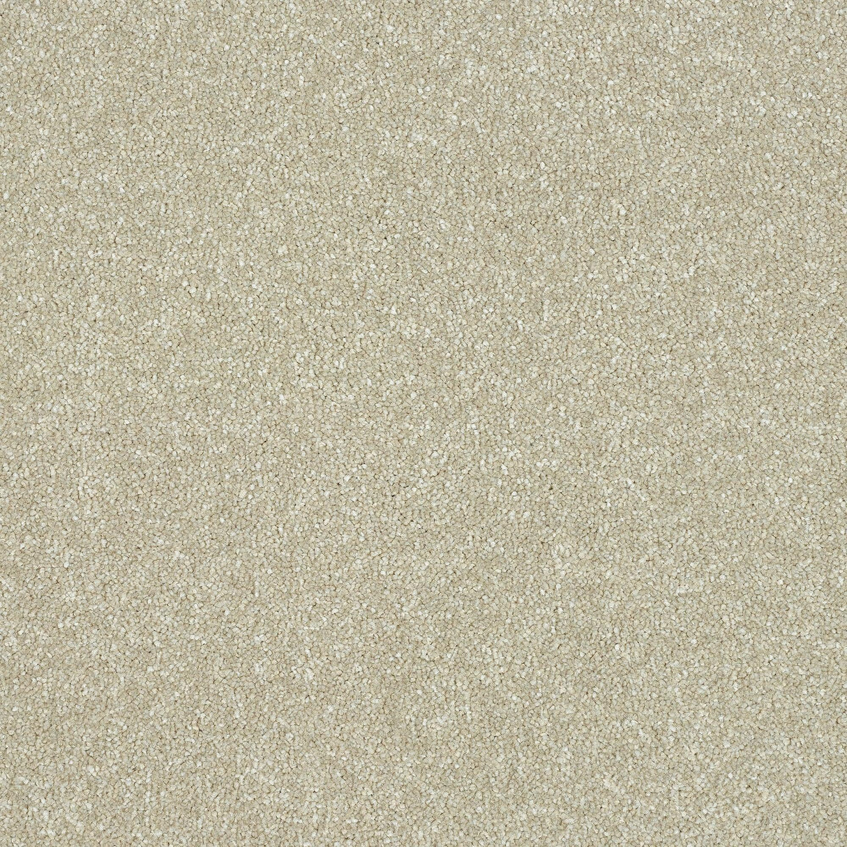 Abingdon Maximus - Dove - 4m x 3.50m Carpet Remnant – by Abingdon Flooring – 1