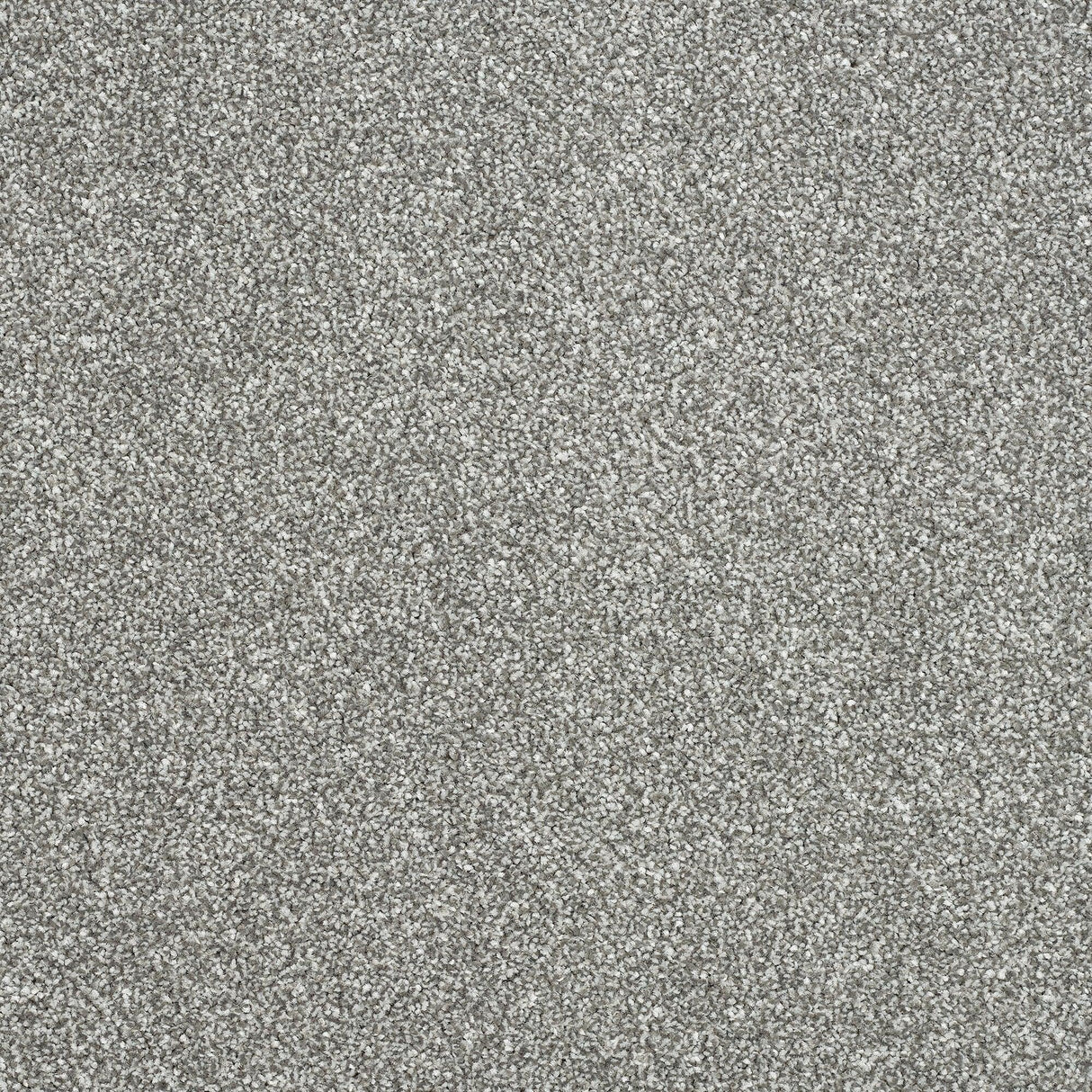 Abingdon Maximus - Battleship Carpet – by Abingdon Flooring – 1
