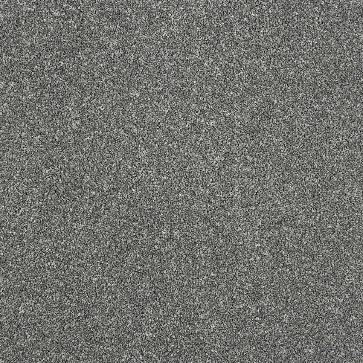 Abingdon Maximus - Grey Steel Carpet – by Abingdon Flooring – 1