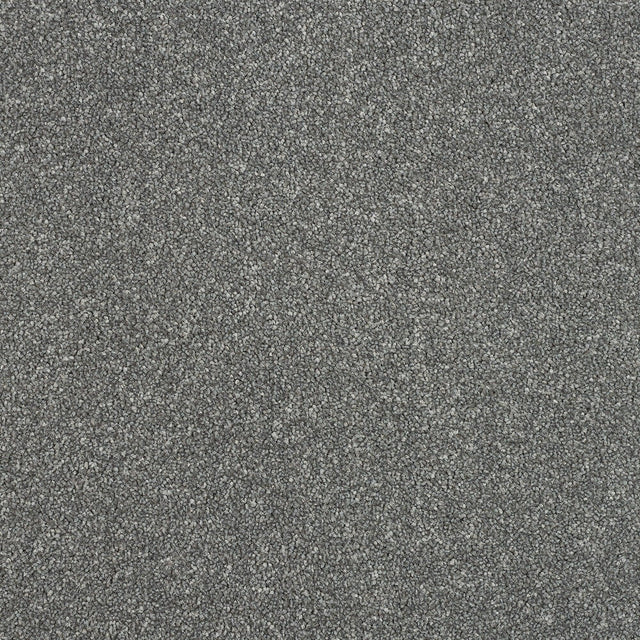Abingdon Maximus - Grey Steel Carpet – by Abingdon Flooring – 1