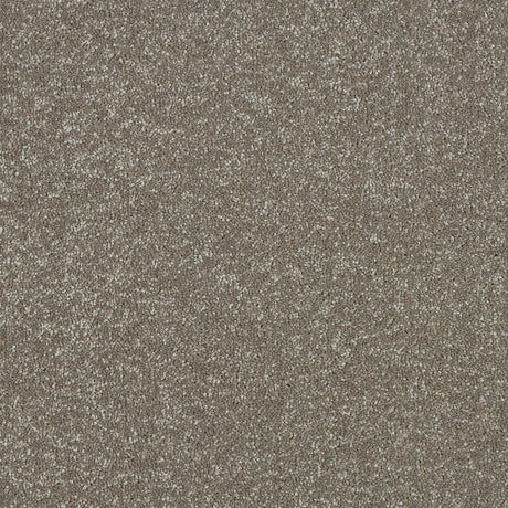 Abingdon Maximus - Velvet Crush Carpet – by Abingdon Flooring – 1