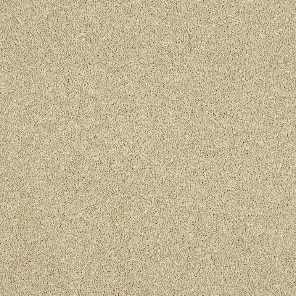Abingdon Maximus - Timeless Carpet – by Abingdon Flooring – 1