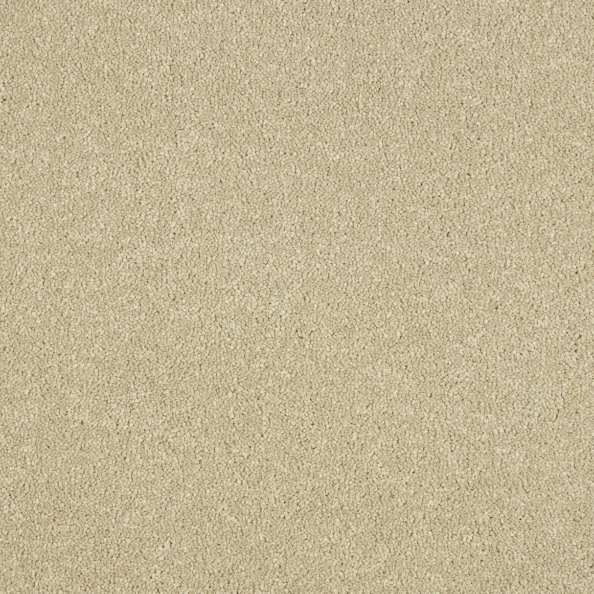 Abingdon Maximus - Timeless Carpet – by Abingdon Flooring – 1