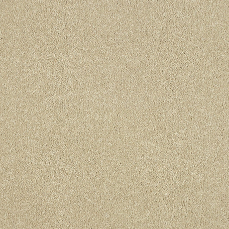 Abingdon Maximus - Timeless Carpet – by Abingdon Flooring – 1