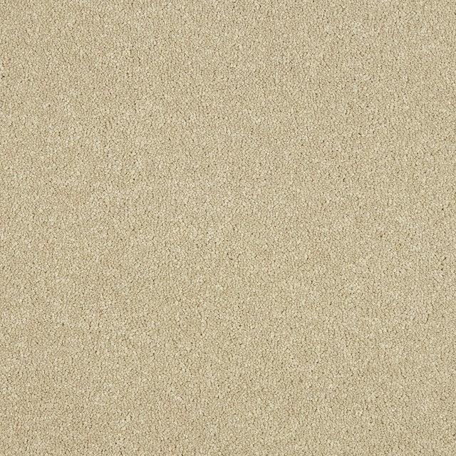 Abingdon Maximus - Timeless Carpet – by Abingdon Flooring – 1