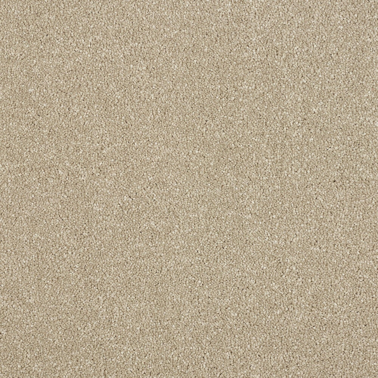Abingdon Maximus - Dark Ecru Carpet – by Abingdon Flooring – 1