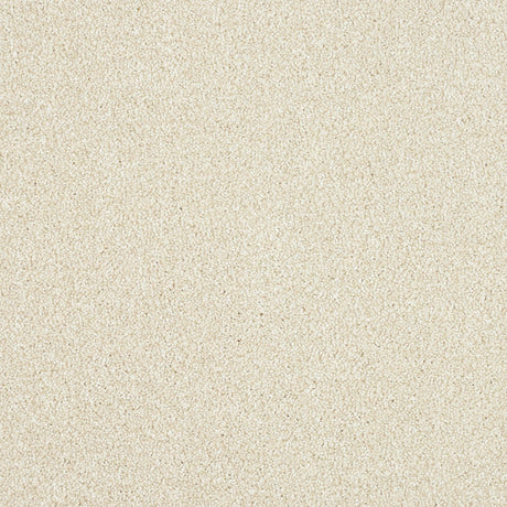 Abingdon Maximus - Ceramic Carpet – by Abingdon Flooring – 1