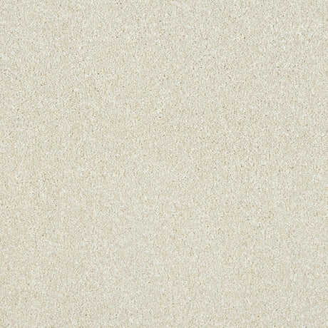 Abingdon Maximus - Stone White Carpet – by Abingdon Flooring – 1