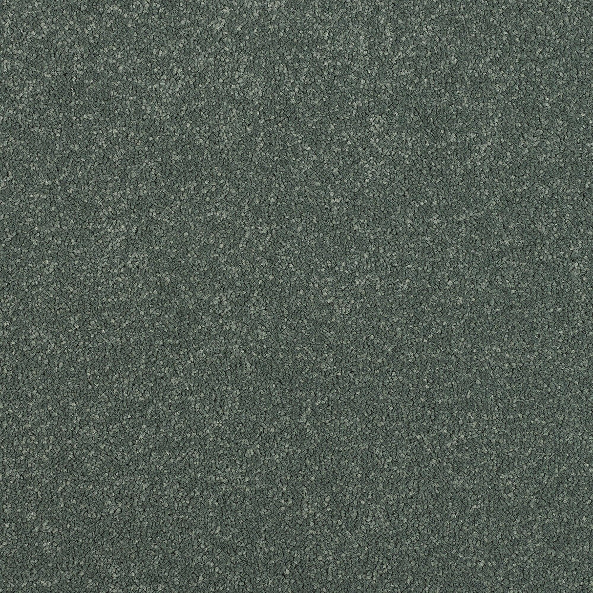 Stainfree Maximus Carpet