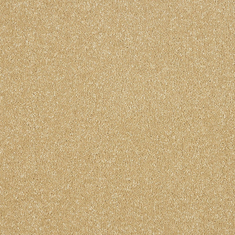 Abingdon Maximus - Honey Gold Carpet – by Abingdon Flooring – 1