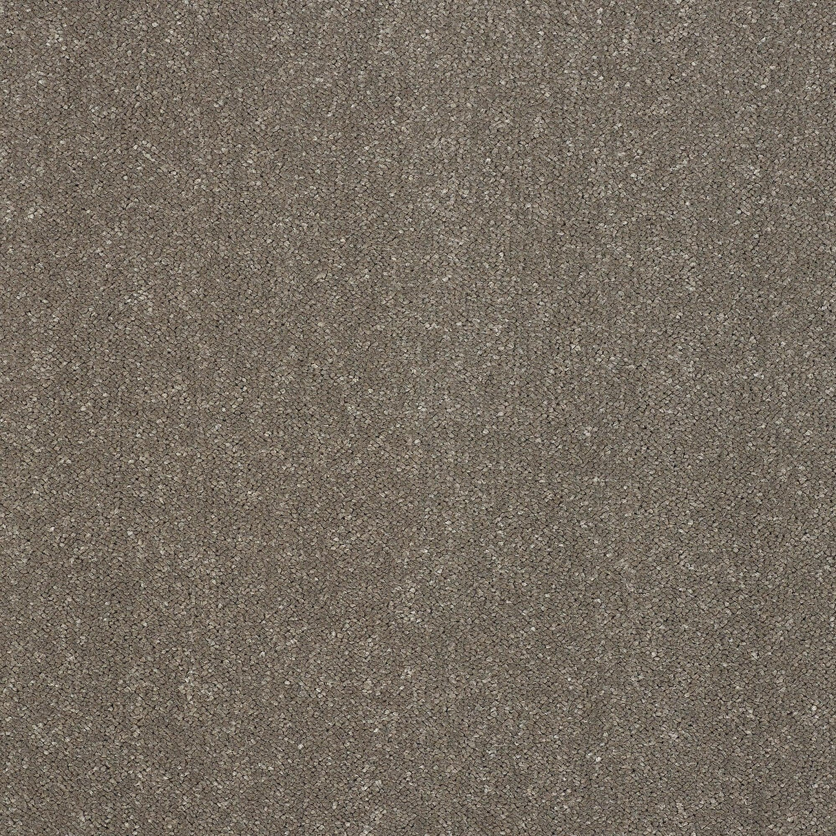 Abingdon Pure Elegance - Seneca Rock Carpet – by Abingdon Flooring – 1