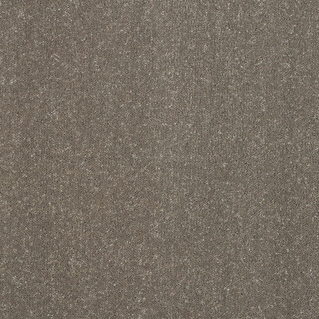 Abingdon Pure Elegance - Seneca Rock Carpet – by Abingdon Flooring – 1