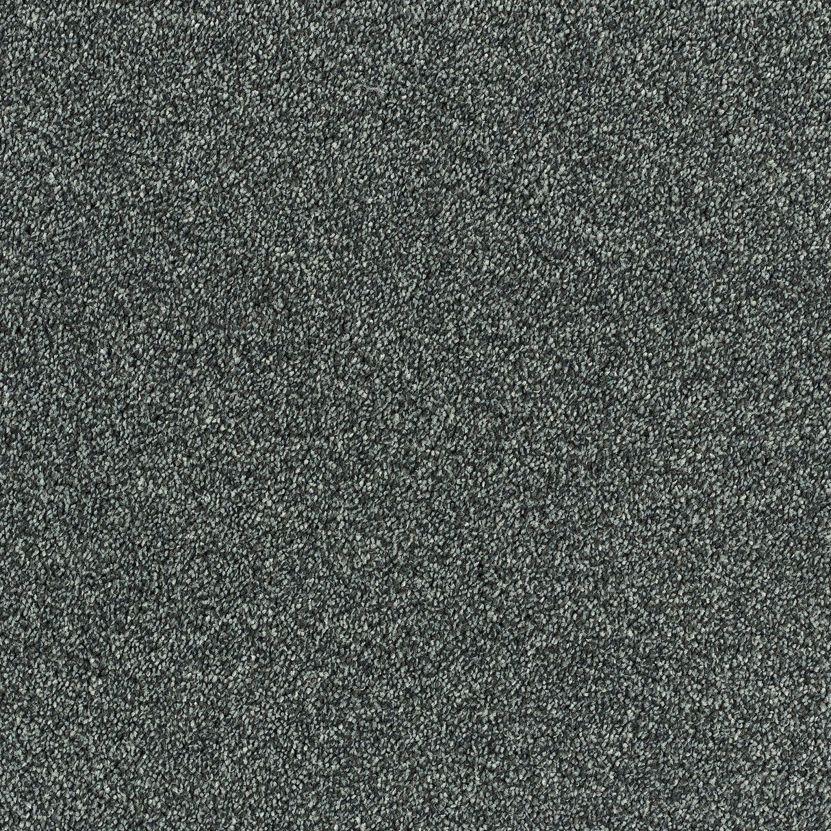 Abingdon Lasting Romance - Nickel Carpet – by Abingdon Flooring – 1