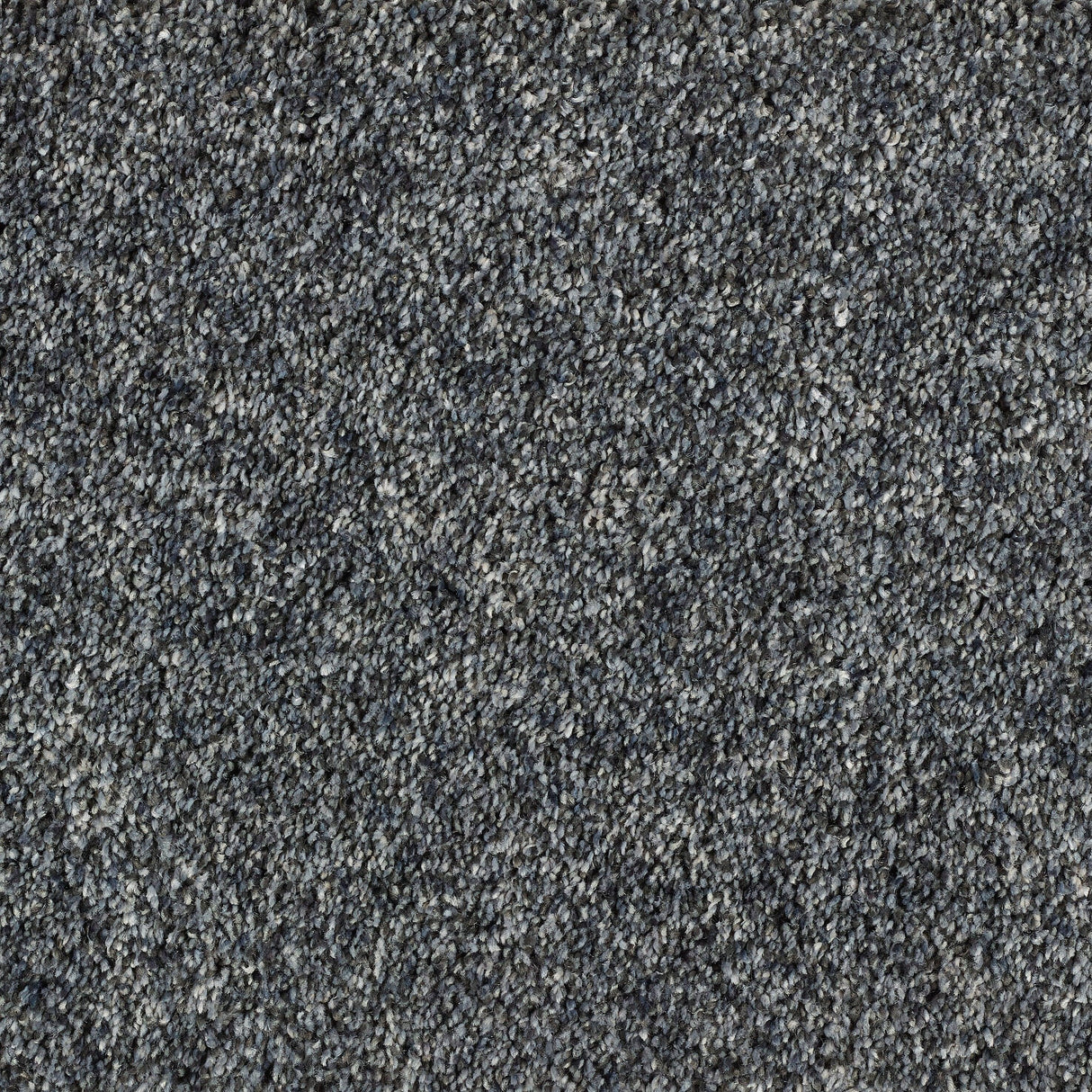 Abingdon Wild Silk - Gunmetal Carpet – by Abingdon Flooring – 1