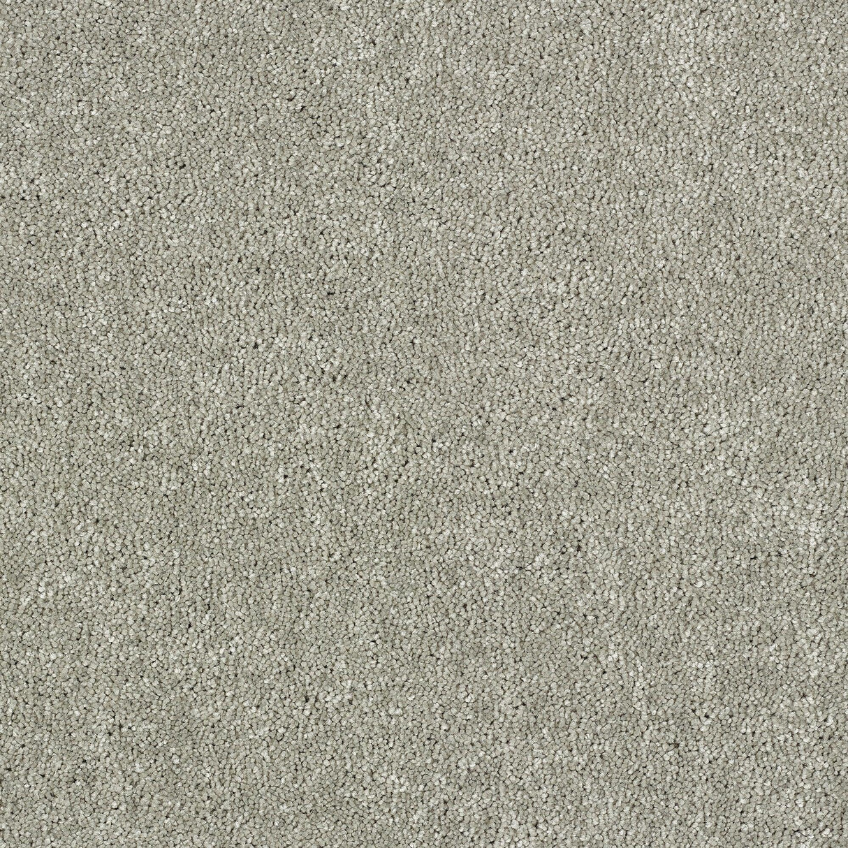 Abingdon Lasting Romance - Glacier Carpet – by Abingdon Flooring – 1