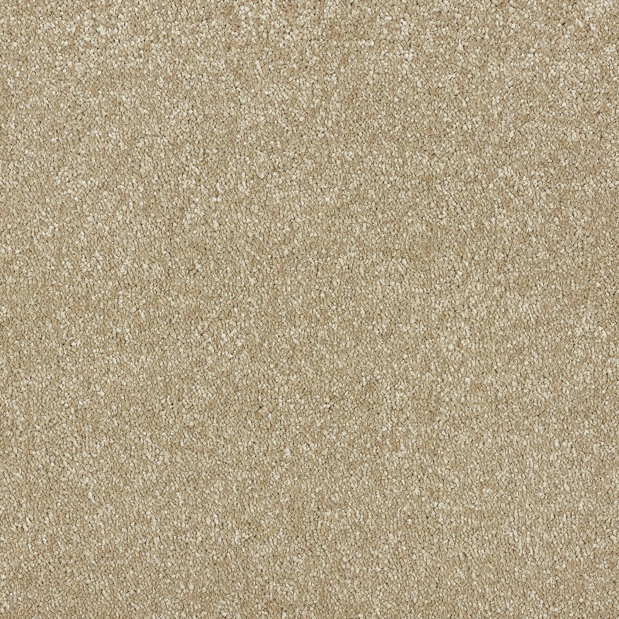 Abingdon Stainfree Satin Touch - Chennile Carpet – by Abingdon Flooring – 1