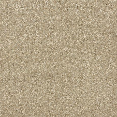 Abingdon Stainfree Satin Touch - Chennile Carpet – by Abingdon Flooring – 1