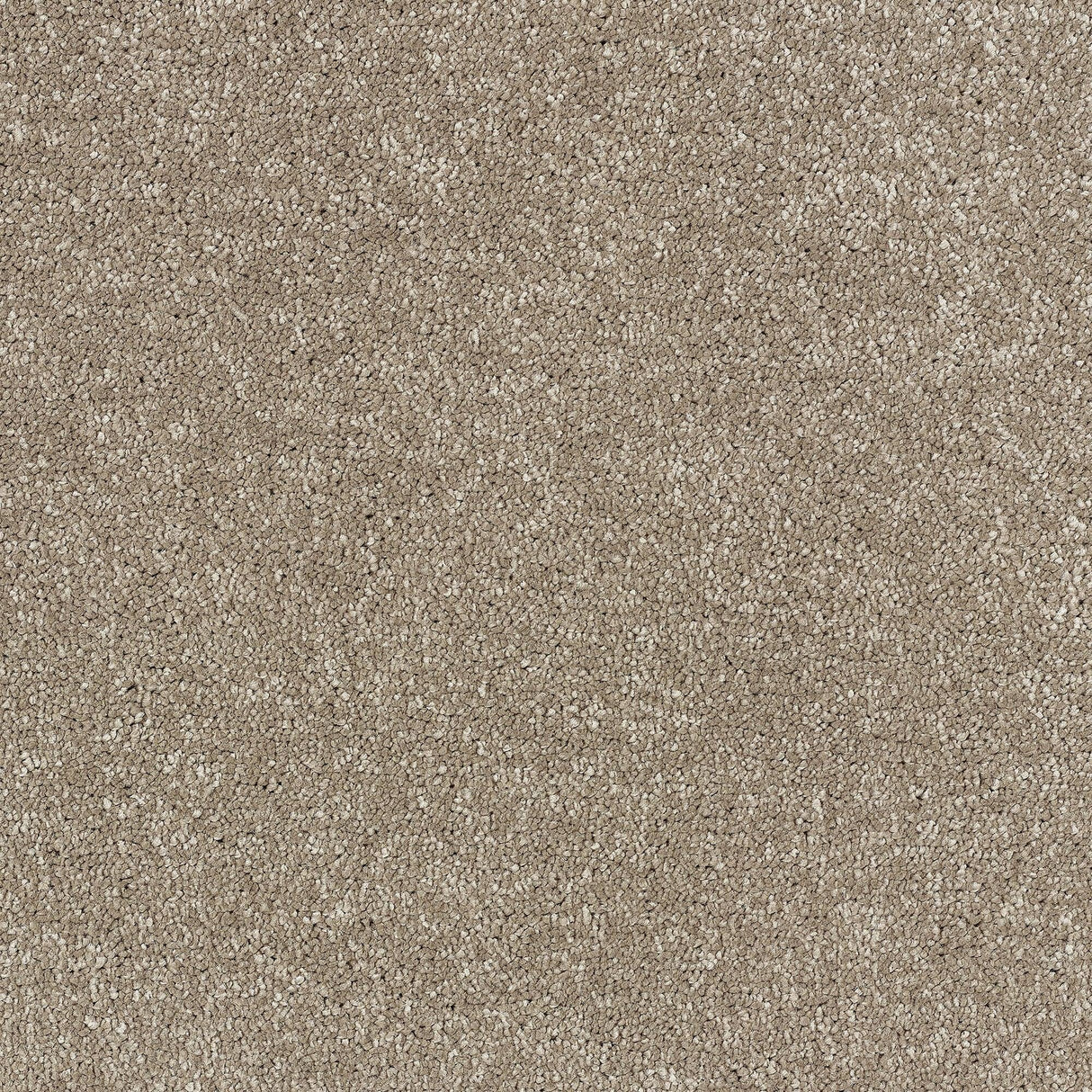 Abingdon Stainfree Satin Touch - Cashmere Carpet – by Abingdon Flooring – 1