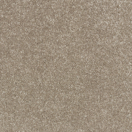 Abingdon Stainfree Satin Touch - Cashmere Carpet – by Abingdon Flooring – 1