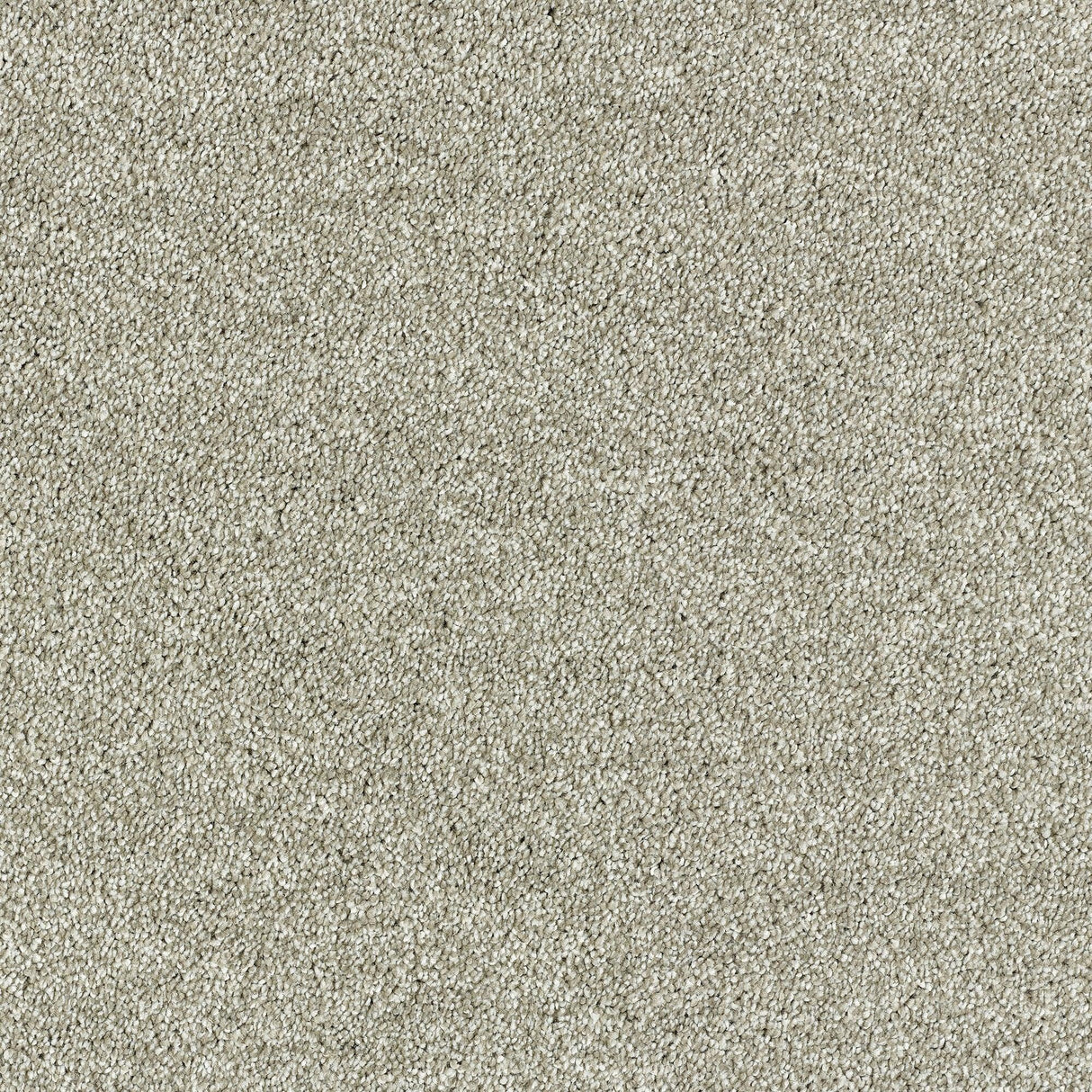 Abingdon Lasting Romance - Dove Grey Carpet – by Abingdon Flooring – 1