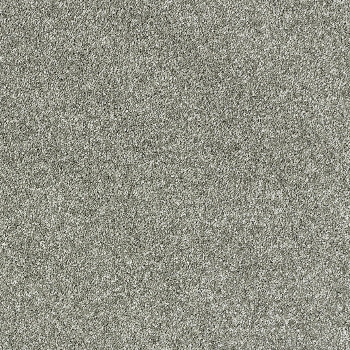 Abingdon Lasting Romance - Pewter Carpet – by Abingdon Flooring – 1