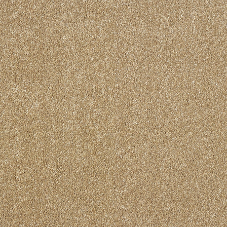 Abingdon Aristocat - Antique Gold Carpet – by Abingdon Flooring – 1
